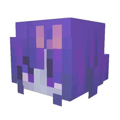 rora__borealis Minecraft avatar head, 3D render
