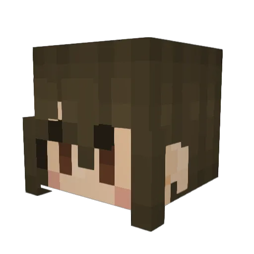 rorabeez Minecraft avatar head, 3D render