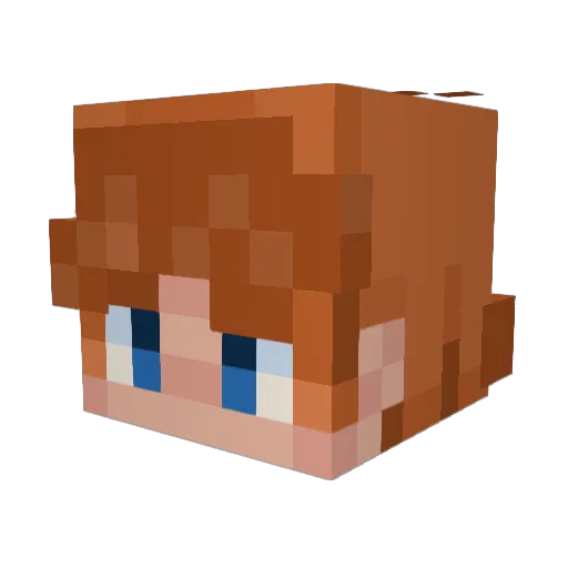 rorangeswho Minecraft avatar head, 3D render