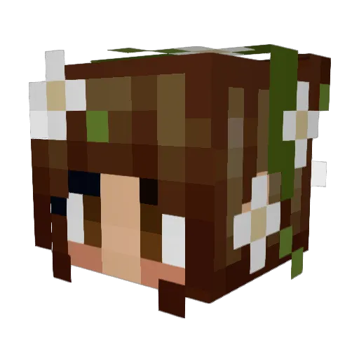 rordiggity Minecraft avatar head, 3D render