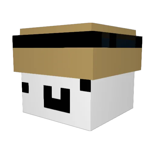 rorh Minecraft avatar head, 3D render