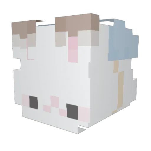 rornco Minecraft avatar head, 3D render