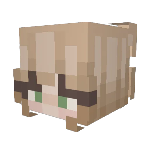 roroNuii Minecraft avatar head, 3D render