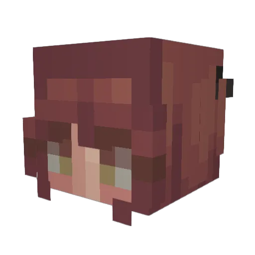 roro_avocado21 Minecraft avatar head, 3D render