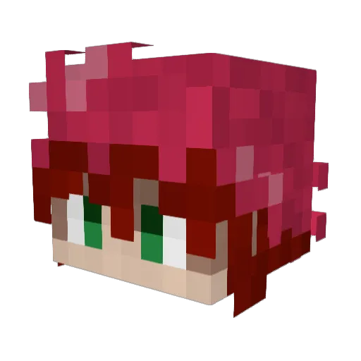 rorotrip Minecraft avatar head, 3D render
