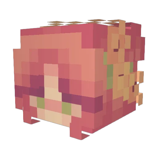roryann Minecraft avatar head, 3D render