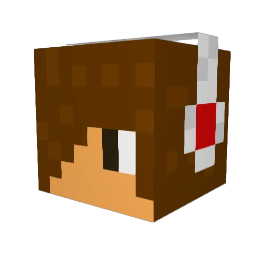 roryfan Minecraft avatar head, 3D render