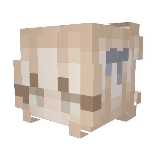rosa_lu Minecraft avatar head, 3D render