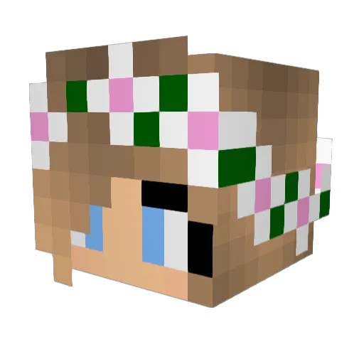 rosabell10 Minecraft avatar head, 3D render
