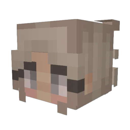 rose_678 Minecraft avatar head, 3D render