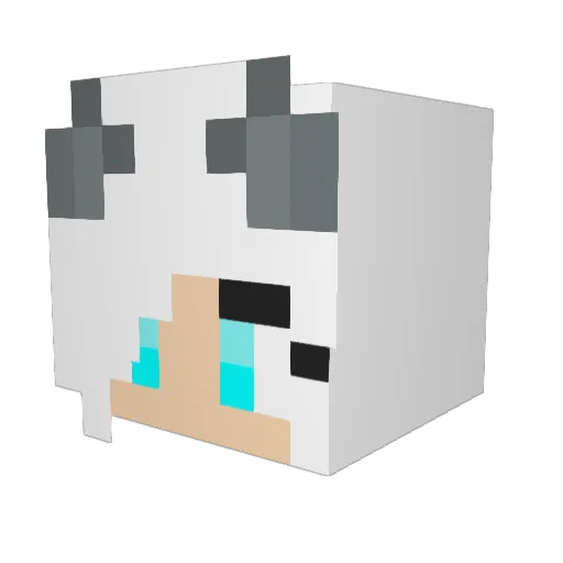 rosebud32 Minecraft avatar head, 3D render