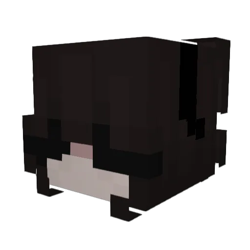 rosejetskiplaya Minecraft avatar head, 3D render