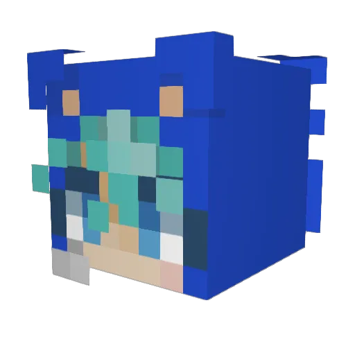 rosekitty510 Minecraft avatar head, 3D render
