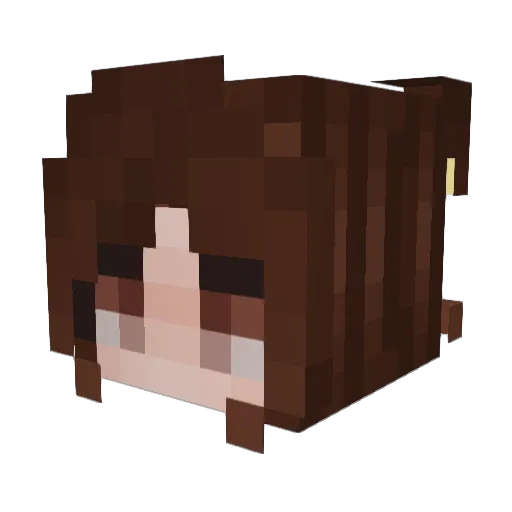 rosella_ Minecraft avatar head, 3D render