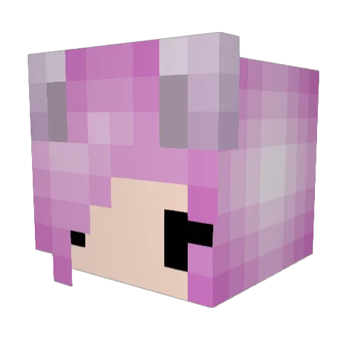rosenberries Minecraft avatar head, 3D render