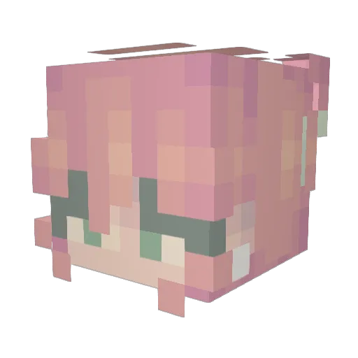 rosepedel Minecraft avatar head, 3D render