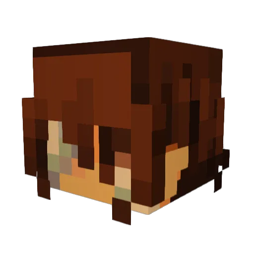 roses2876 Minecraft avatar head, 3D render