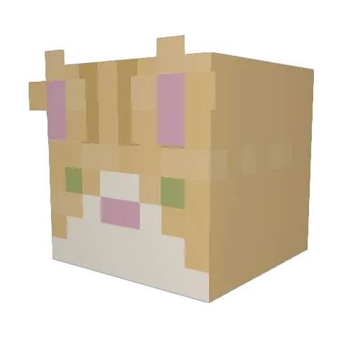 rosestinks Minecraft avatar head, 3D render