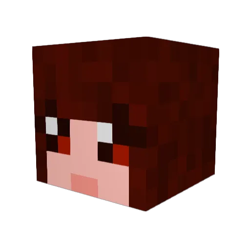 roseta321 Minecraft avatar head, 3D render