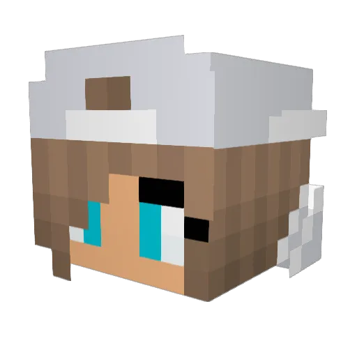 rosetta0001 Minecraft avatar head, 3D render