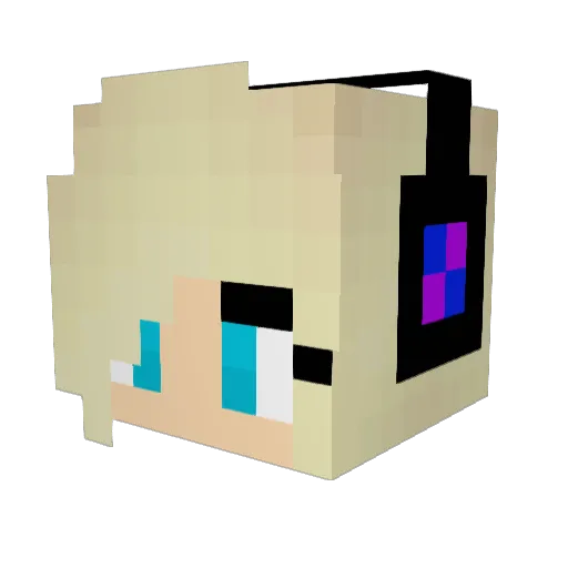 rosetta873 Minecraft avatar head, 3D render