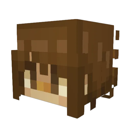 rosetta_im_stone Minecraft avatar head, 3D render