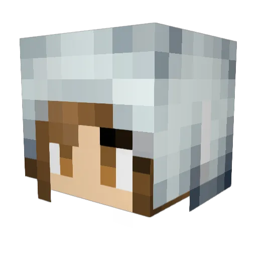 rosey24485 Minecraft avatar head, 3D render
