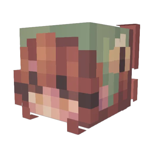 rosheight Minecraft avatar head, 3D render