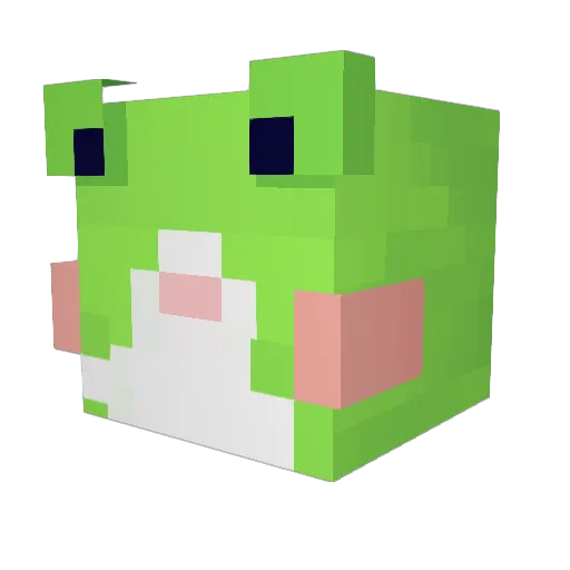 roshi222 Minecraft avatar head, 3D render