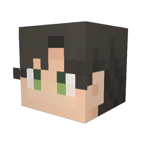 roshi_koma Minecraft avatar head, 3D render