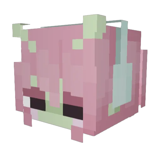 rosicaca Minecraft avatar head, 3D render