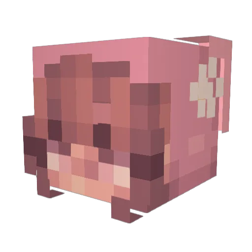 rosiecgs Minecraft avatar head, 3D render