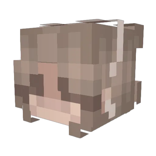 rosienguyen Minecraft avatar head, 3D render