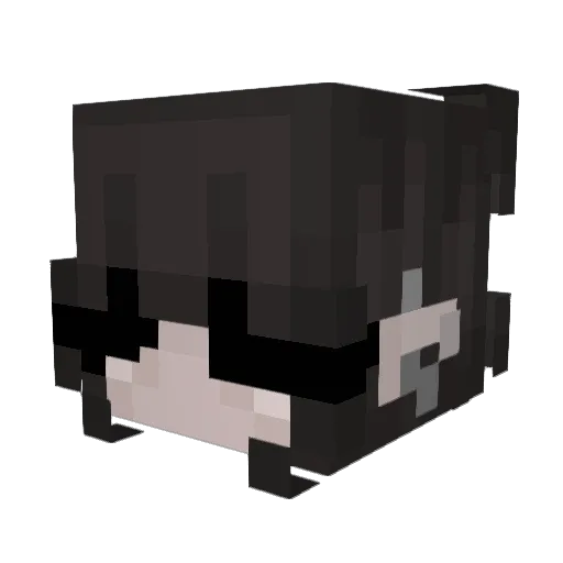 rosqwzi Minecraft avatar head, 3D render
