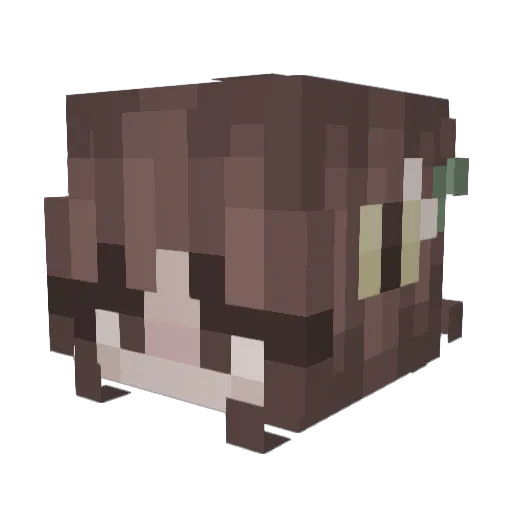 rosske21 Minecraft avatar head, 3D render