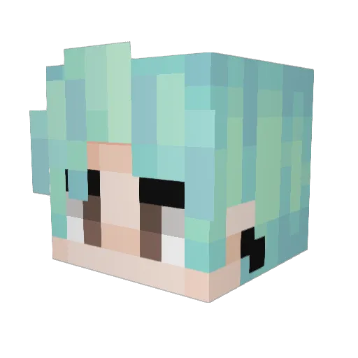 rosxpetals Minecraft avatar head, 3D render