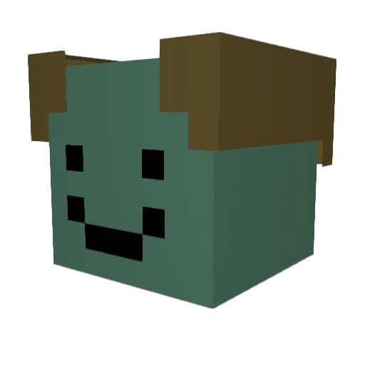 rotanvaippa Minecraft avatar head, 3D render