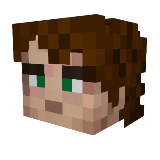 rotex6 Minecraft avatar head, 3D render