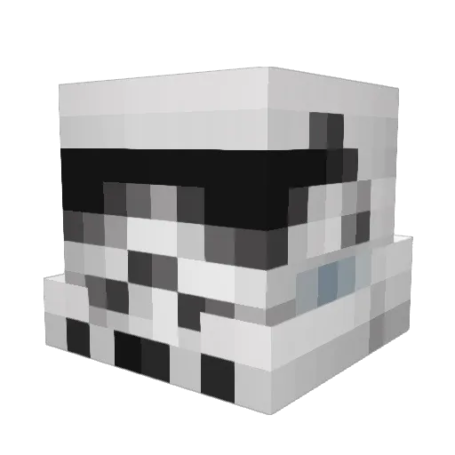 rothemejer Minecraft avatar head, 3D render