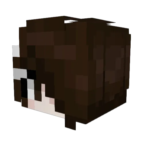 rotidmantlis Minecraft avatar head, 3D render