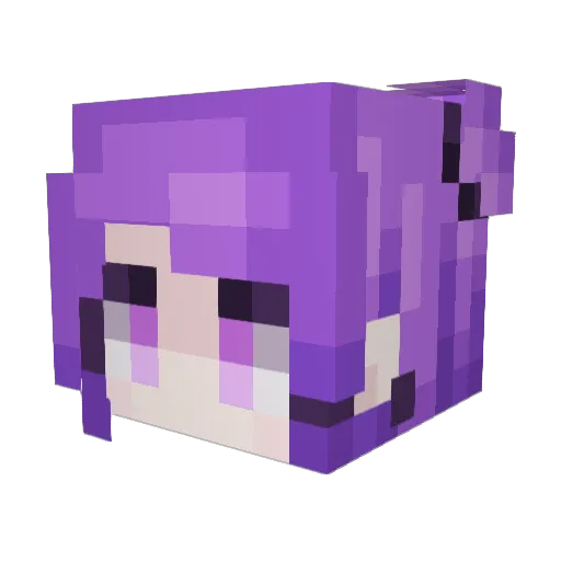 rotom2000 Minecraft avatar head, 3D render