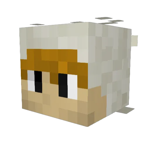 rottedsigma Minecraft avatar head, 3D render