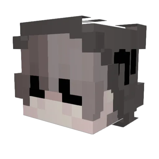 rottenaster Minecraft avatar head, 3D render