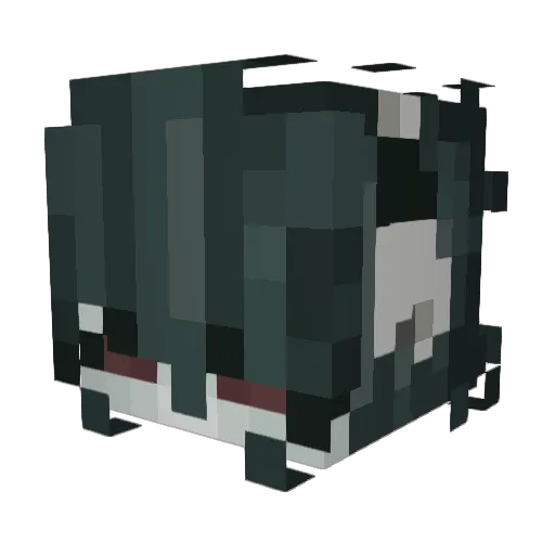 rottenedveil Minecraft avatar head, 3D render