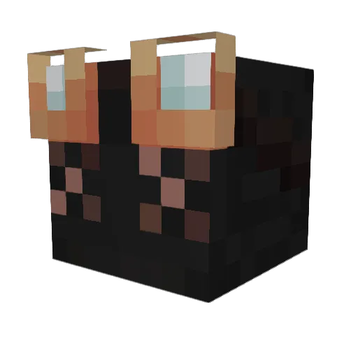 rottenpotato_ Minecraft avatar head, 3D render