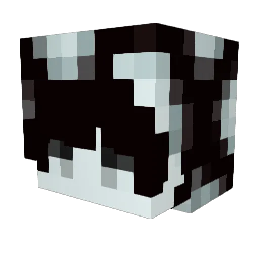 rottingresidue Minecraft avatar head, 3D render