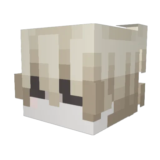 rotvenge Minecraft avatar head, 3D render