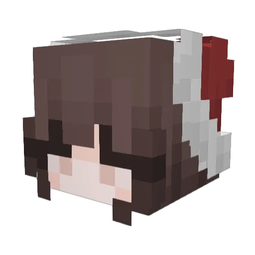 roughmoonlight Minecraft avatar head, 3D render