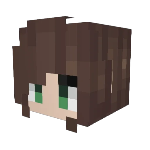 rourou99 Minecraft avatar head, 3D render