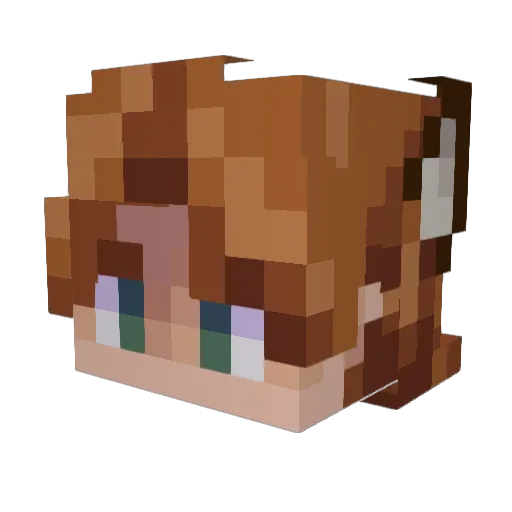 routeguano Minecraft avatar head, 3D render